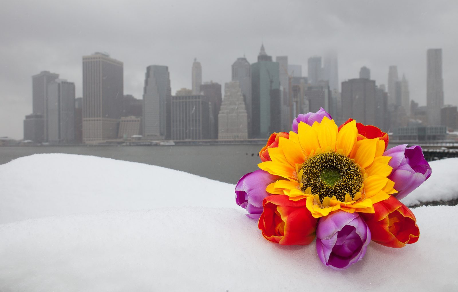 Wednesday, March 21, 2018. Brooklyn, New York City - Today was the first day of Spring, but it feels like Winter. It is snowing at the Brooklyn Bridge Park. I added flowers because it was the first day of Spring. Photo by Javier Soriano/LoveIsAmor.com