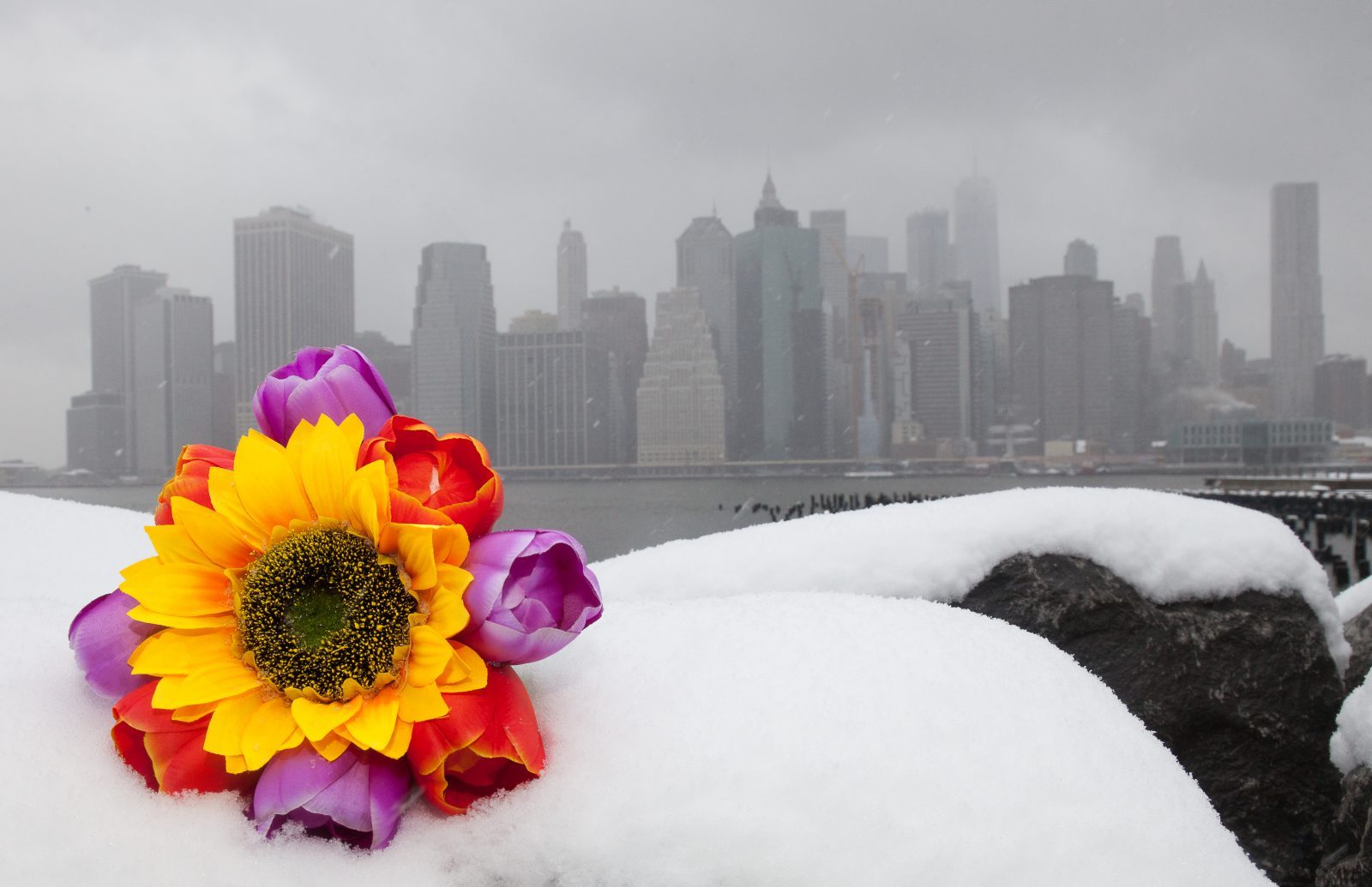 Wednesday, March 21, 2018. Brooklyn, New York City - Today was the first day of Spring, but it feels like Winter. It is snowing at the Brooklyn Bridge Park. I added flowers because it was the first day of Spring. Photo by Javier Soriano/LoveIsAmor.com