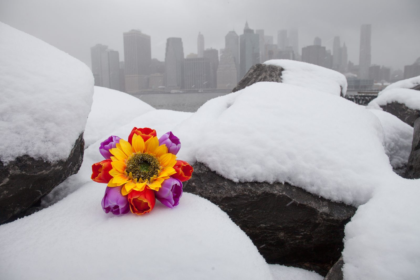 Wednesday, March 21, 2018. Brooklyn, New York City - Today was the first day of Spring, but it feels like Winter. It is snowing at the Brooklyn Bridge Park. I added flowers because it was the first day of Spring. Photo by Javier Soriano/LoveIsAmor.com