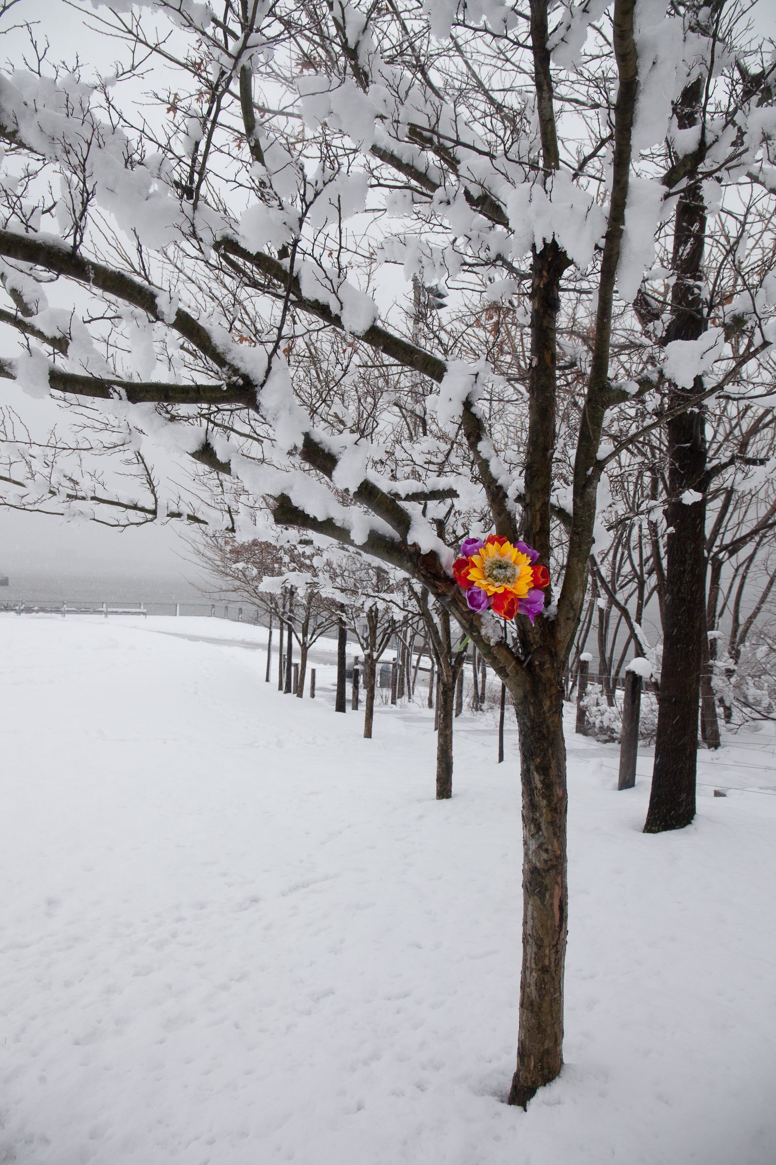 Wednesday, March 21, 2018. Brooklyn, New York City - Today was the first day of Spring, but it feels like Winter. It is snowing at the Brooklyn Bridge Park. I added flowers because it was the first day of Spring. Photo by Javier Soriano/LoveIsAmor.com