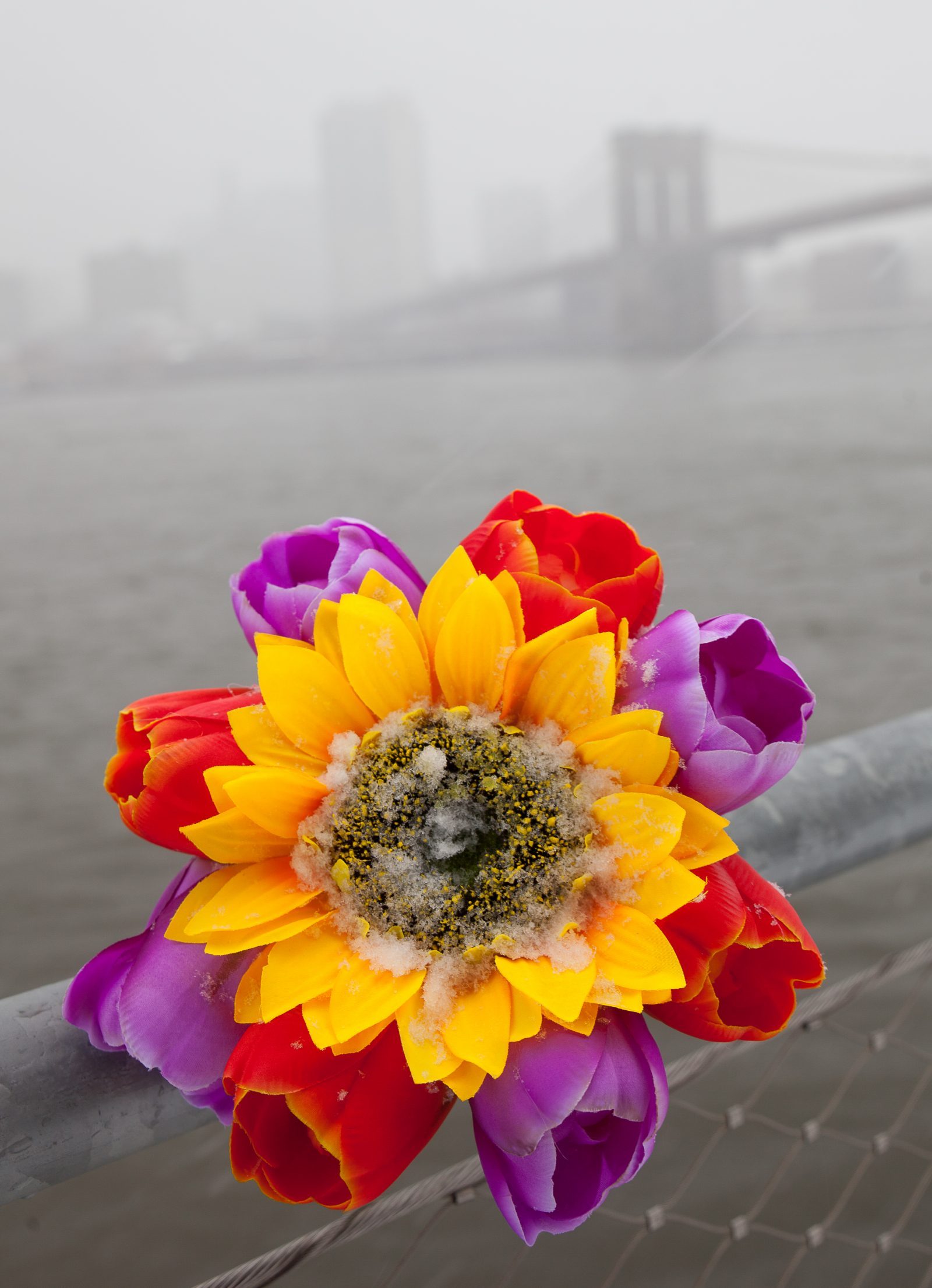 Wednesday, March 21, 2018. Brooklyn, New York City - Today was the first day of Spring, but it feels like Winter. It is snowing at the Brooklyn Bridge Park. I added flowers because it was the first day of Spring. Photo by Javier Soriano/LoveIsAmor.com