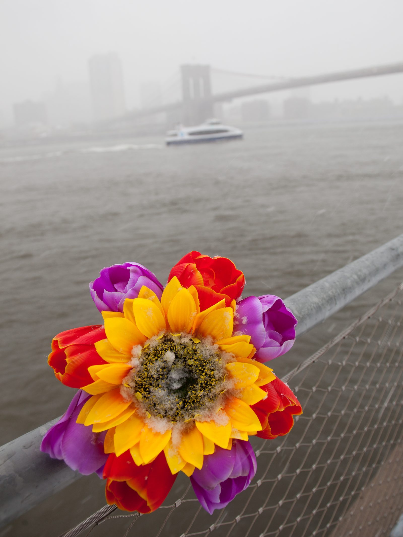 Wednesday, March 21, 2018. Brooklyn, New York City - Today was the first day of Spring, but it feels like Winter. It is snowing at the Brooklyn Bridge Park. I added flowers because it was the first day of Spring. Photo by Javier Soriano/LoveIsAmor.com