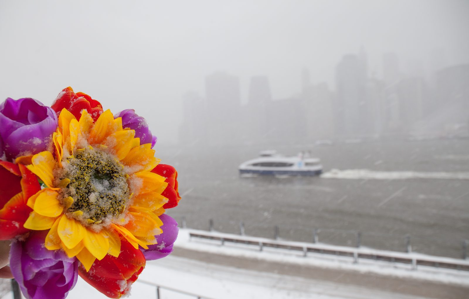 Wednesday, March 21, 2018. Brooklyn, New York City - Today was the first day of Spring, but it feels like Winter. It is snowing at the Brooklyn Bridge Park. I added flowers because it was the first day of Spring. Photo by Javier Soriano/LoveIsAmor.com