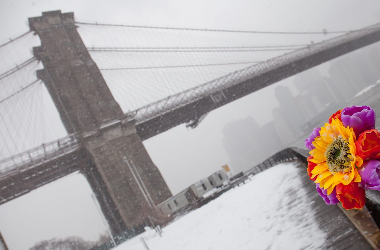 Wednesday, March 21, 2018. Brooklyn, New York City - Today was the first day of Spring, but it feels like Winter. It is snowing at the Brooklyn Bridge Park. I added flowers because it was the first day of Spring. Photo by Javier Soriano/LoveIsAmor.com