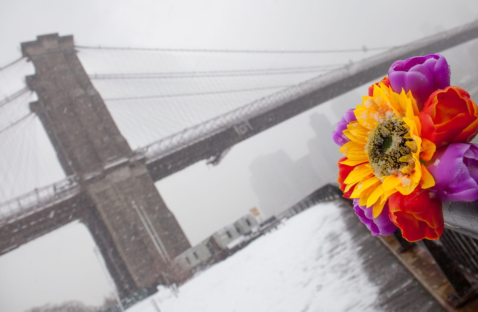 Wednesday, March 21, 2018. Brooklyn, New York City - Today was the first day of Spring, but it feels like Winter. It is snowing at the Brooklyn Bridge Park. I added flowers because it was the first day of Spring. Photo by Javier Soriano/LoveIsAmor.com