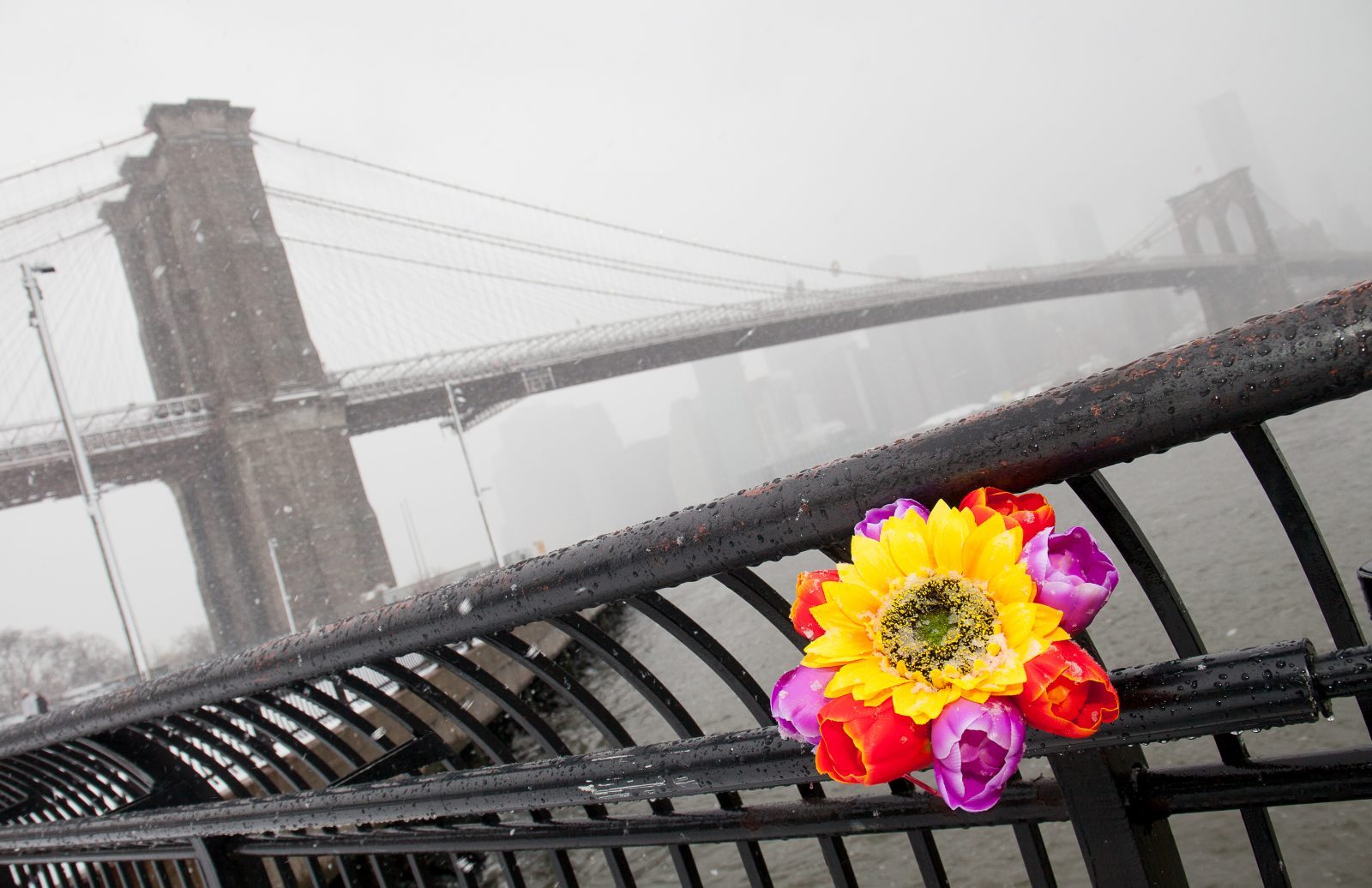 Wednesday, March 21, 2018. Brooklyn, New York City - Today was the first day of Spring, but it feels like Winter. It is snowing at the Brooklyn Bridge Park. I added flowers because it was the first day of Spring. Photo by Javier Soriano/LoveIsAmor.com