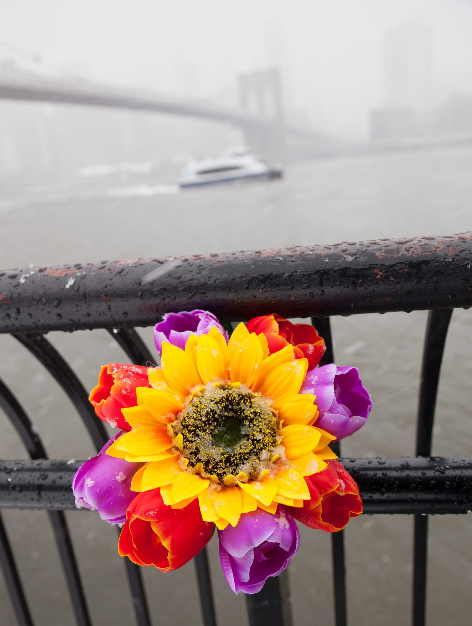 Wednesday, March 21, 2018. Brooklyn, New York City - Today was the first day of Spring, but it feels like Winter. It is snowing at the Brooklyn Bridge Park. I added flowers because it was the first day of Spring. Photo by Javier Soriano/LoveIsAmor.com