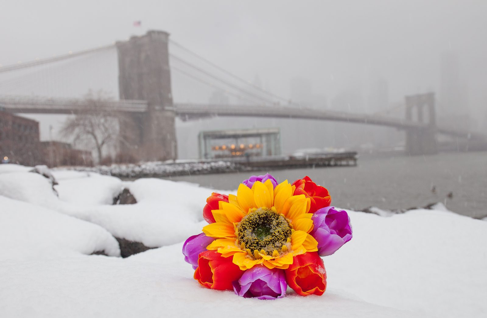 Wednesday, March 21, 2018. Brooklyn, New York City - Today was the first day of Spring, but it feels like Winter. It is snowing at the Brooklyn Bridge Park. I added flowers because it was the first day of Spring. Photo by Javier Soriano/LoveIsAmor.com