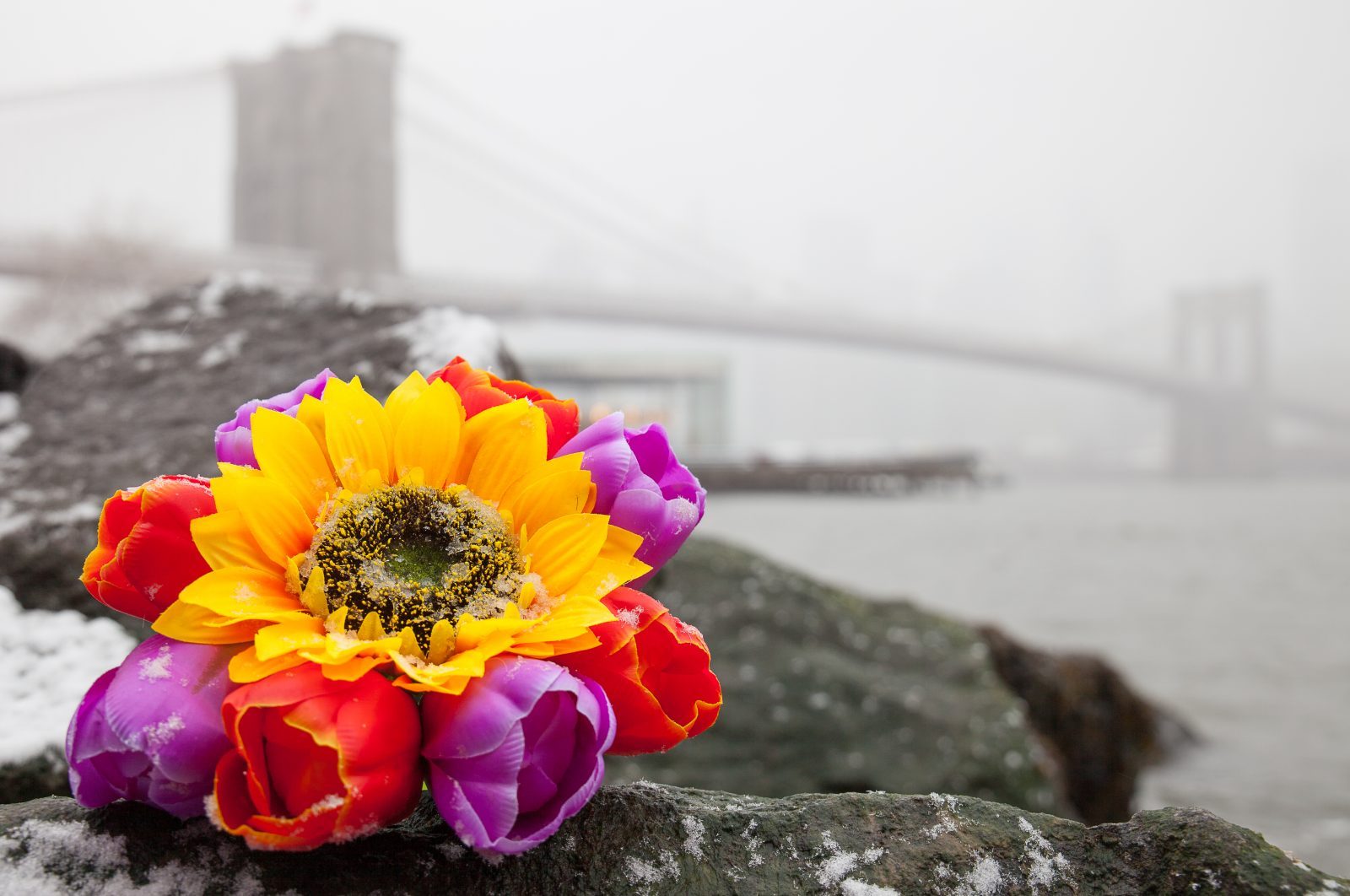 Wednesday, March 21, 2018. Brooklyn, New York City - Today was the first day of Spring, but it feels like Winter. It is snowing at the Brooklyn Bridge Park. I added flowers because it was the first day of Spring. Photo by Javier Soriano/LoveIsAmor.com