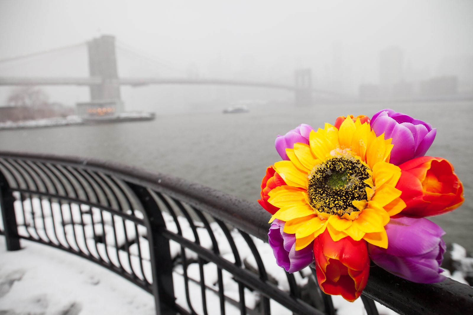 Wednesday, March 21, 2018. Brooklyn, New York City - Today was the first day of Spring, but it feels like Winter. It is snowing at the Brooklyn Bridge Park. I added flowers because it was the first day of Spring. Photo by Javier Soriano/LoveIsAmor.com