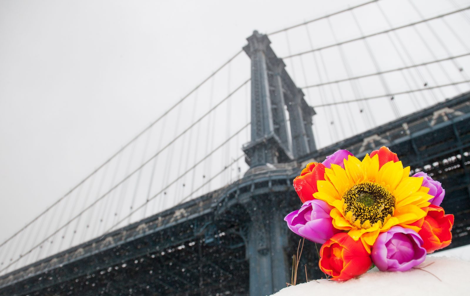 Wednesday, March 21, 2018. Brooklyn, New York City - Today was the first day of Spring, but it feels like Winter. It is snowing at the Brooklyn Bridge Park. I added flowers because it was the first day of Spring. Photo by Javier Soriano/LoveIsAmor.com