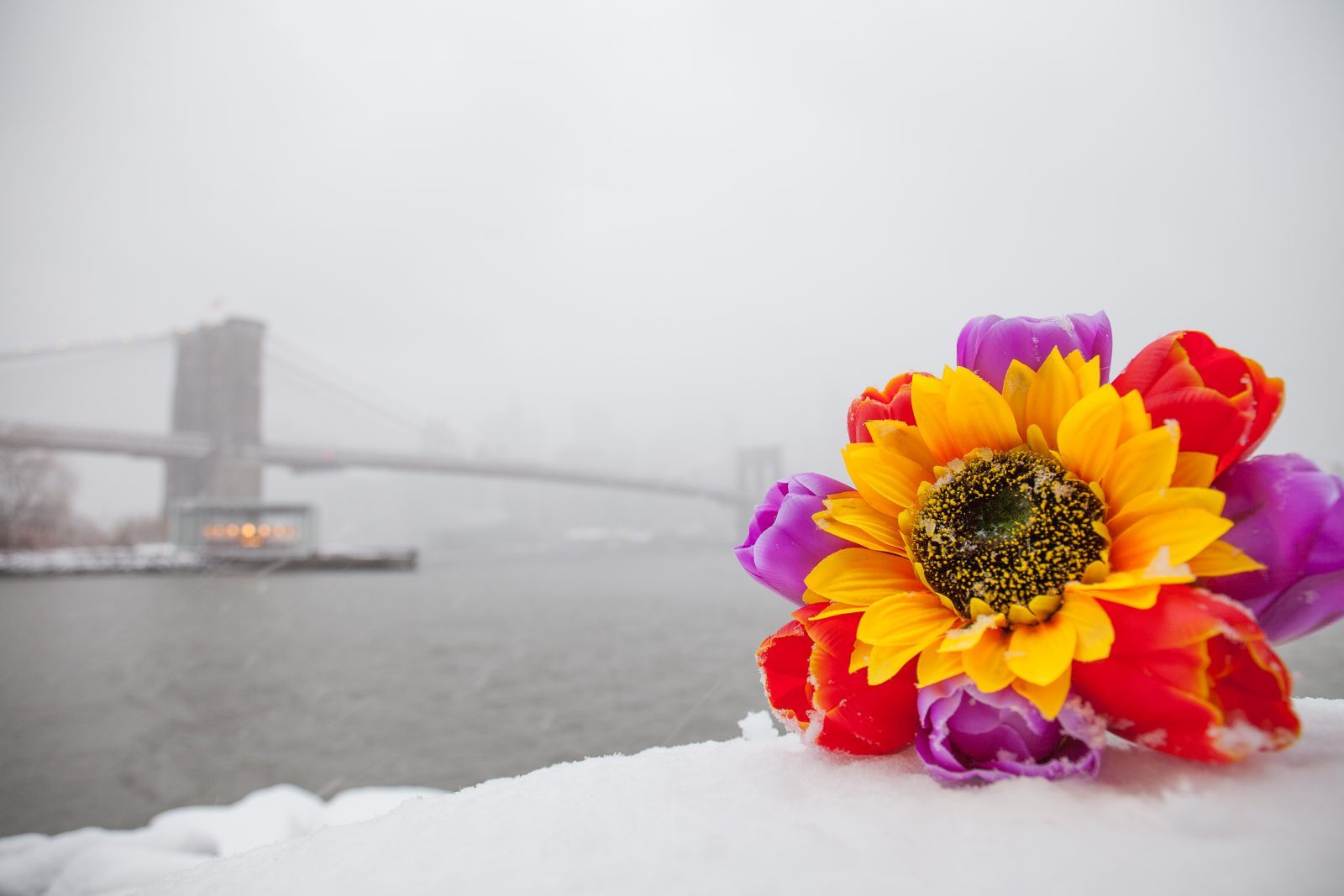 Wednesday, March 21, 2018. Brooklyn, New York City - Today was the first day of Spring, but it feels like Winter. It is snowing at the Brooklyn Bridge Park. I added flowers because it was the first day of Spring. Photo by Javier Soriano/LoveIsAmor.com