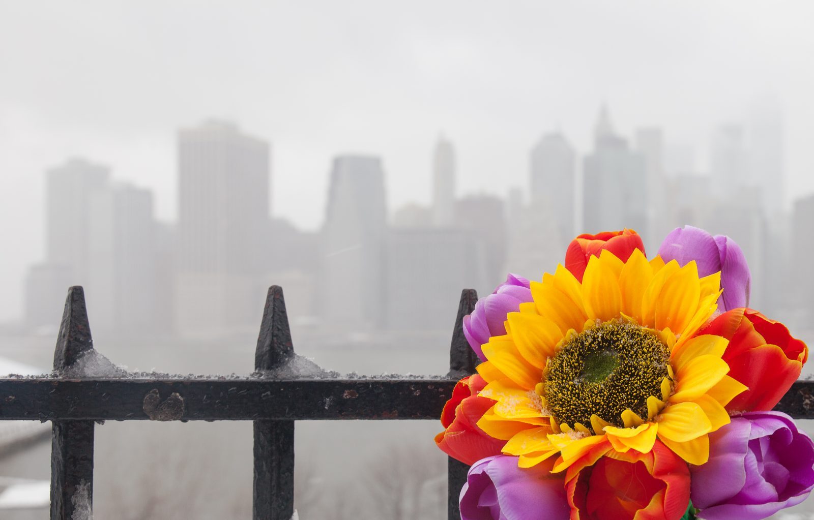 Wednesday, March 21, 2018. Brooklyn, New York City - Today was the first day of Spring, but it feels like Winter. It is snowing at the Brooklyn Bridge Park. I added flowers because it was the first day of Spring. Photo by Javier Soriano/LoveIsAmor.com