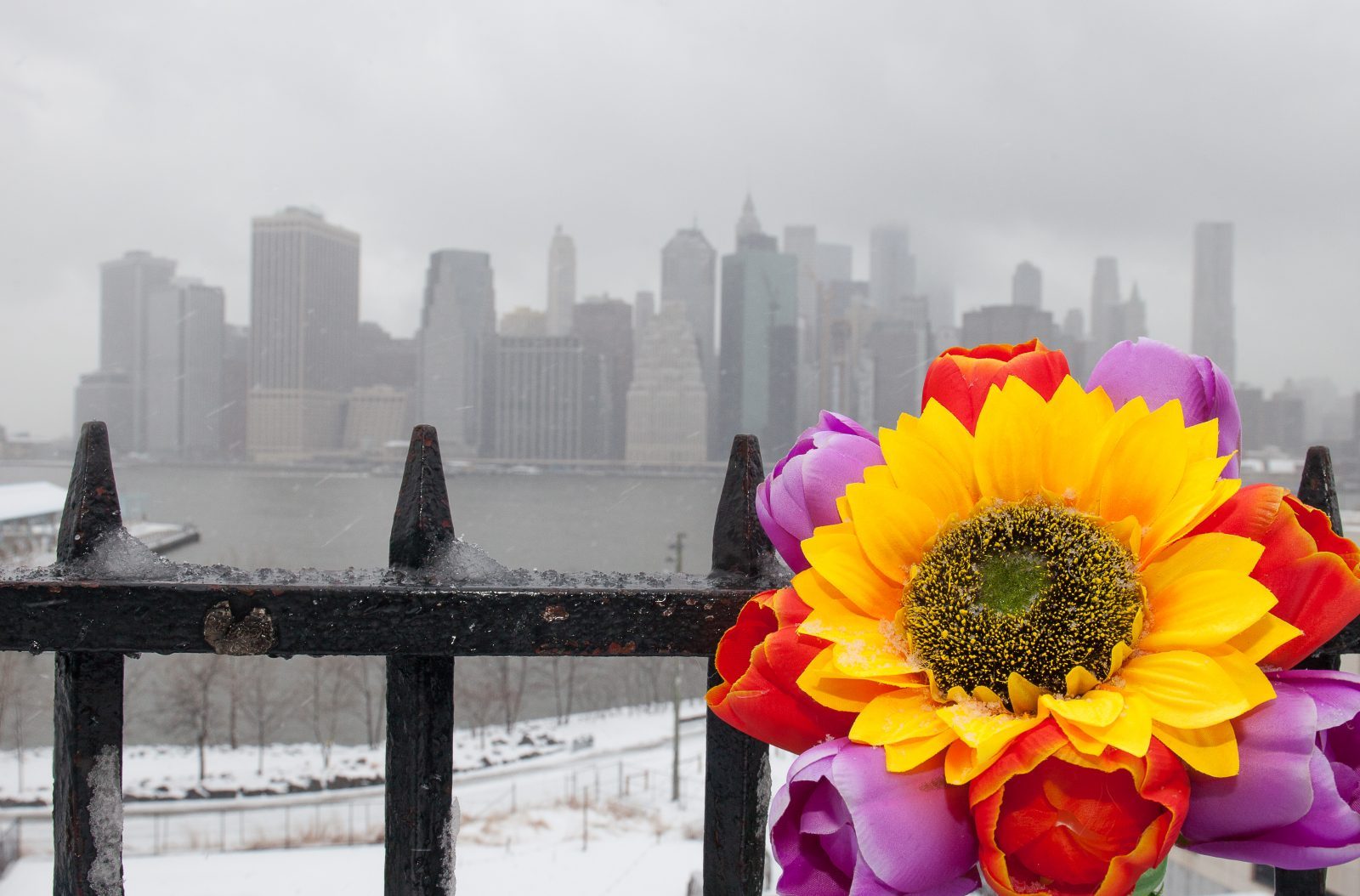 Wednesday, March 21, 2018. Brooklyn, New York City - Today was the first day of Spring, but it feels like Winter. It is snowing at the Brooklyn Bridge Park. I added flowers because it was the first day of Spring. Photo by Javier Soriano/LoveIsAmor.com