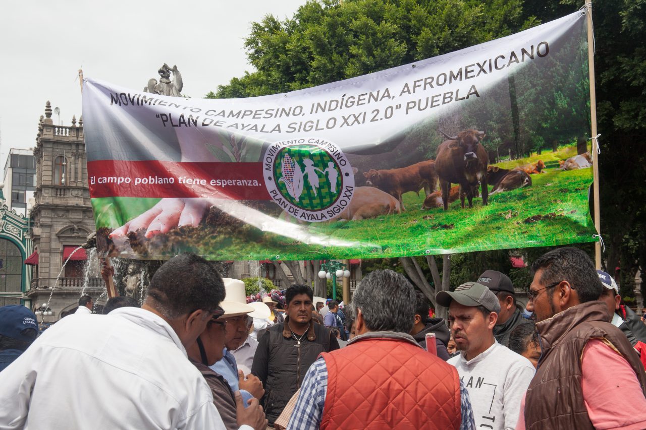 Domingo, 12 de Agosto, 2018. Ciudad de Puebla, México - Personas en apoyo a Miguel Barbosa Huerta y Morena. Foto por Javier Soriano/LoveIsAmor.com
