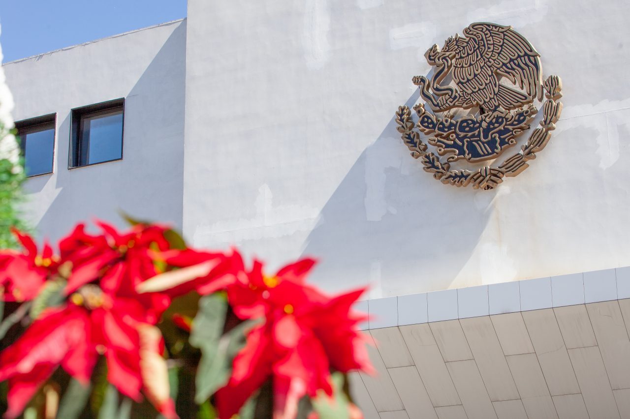 Mexico City, Mexico. Saturday, December 1, 2018. Mexican flower Flor de Nochebuena at Los Pinos. The "Official Residence of Los Pinos" was the residence of the Mexican presidents. As of Saturday, December 1, 2018, it will be known as the "Los Pinos Cultural Complex." The official website says: "Los Pinos will be a completely open space for all Mexicans." Today was the inauguration of Mexican President Andrés Manuel López Obrador. People came to Los Pinos to celebrate this historic day. Credit: Photo by LoveIsAmor.com