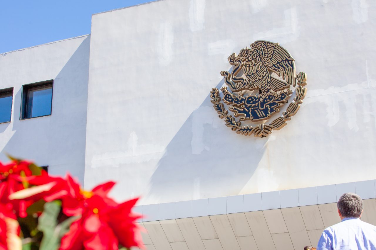 Mexico City, Mexico. Saturday, December 1, 2018. Mexican flower Flor de Nochebuena at Los Pinos. The "Official Residence of Los Pinos" was the residence of the Mexican presidents. As of Saturday, December 1, 2018, it will be known as the "Los Pinos Cultural Complex." The official website says: "Los Pinos will be a completely open space for all Mexicans." Today was the inauguration of Mexican President Andrés Manuel López Obrador. People came to Los Pinos to celebrate this historic day. Credit: Photo by LoveIsAmor.com