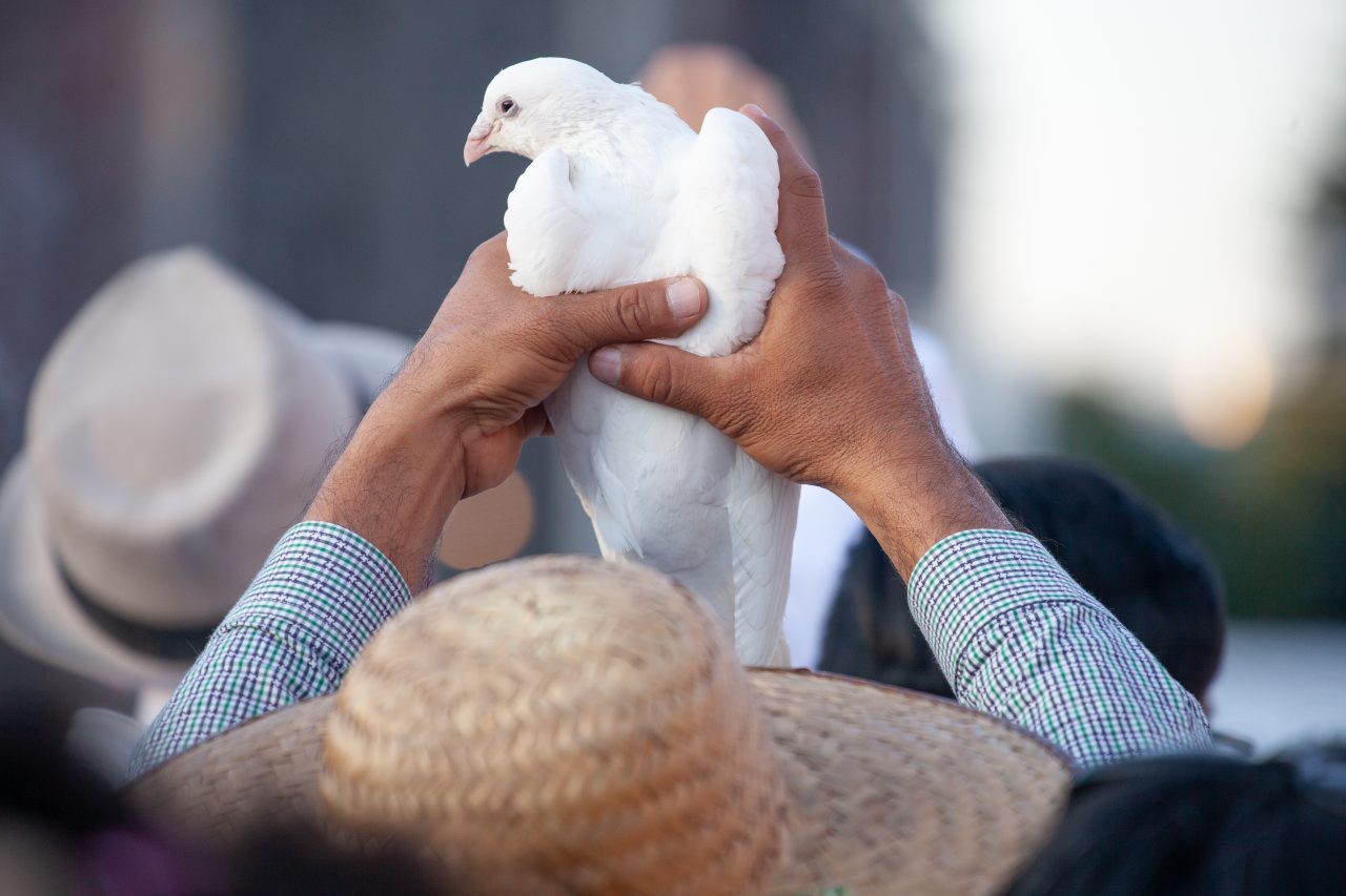 Mexico City, Mexico. Saturday, December 1, 2018. Mexicans celebrate on the Zocalo the inauguration of Mexican President Andrés Manuel López Obrador. People came to celebrate this historic day. López Obrador – known as AMLO - said, “We are going to govern for everyone, but we are going to give preference to the most impoverished and vulnerable. For the good of all, the poor come first.” Andrés Manuel received a spiritual cleansing by indigenous women and men as part of the celebrations. “What we want, what we desire is to purify public life in Mexico. I repeat my commitment: I will not lie, I will not steal or betray the people of Mexico,” the new President said during the religious ceremony. Credit: Photo by LoveIsAmor.com