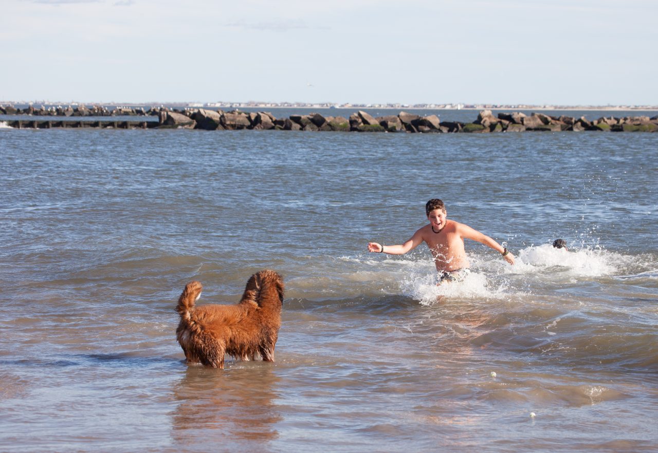 Coney island, Brooklyn. New York City. Tuesday, January 1, 2019 - Today was the New Year’s Day Polar Bear Plunge at Coney Island, New York City. The temperature was more than 50 degrees today. Hundreds of people (and some dogs) attended the event. Credit: Photo by LoveIsAmor.com