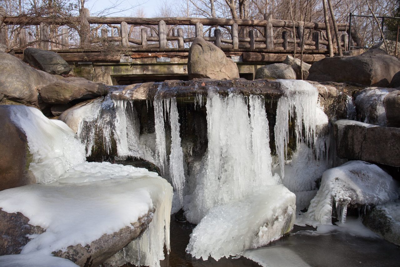 Brooklyn, New York City. Saturday, February 2, 2019 - A waterfall in Prospect Park is frozen. Credit: Photo by LoveIsAmor.com