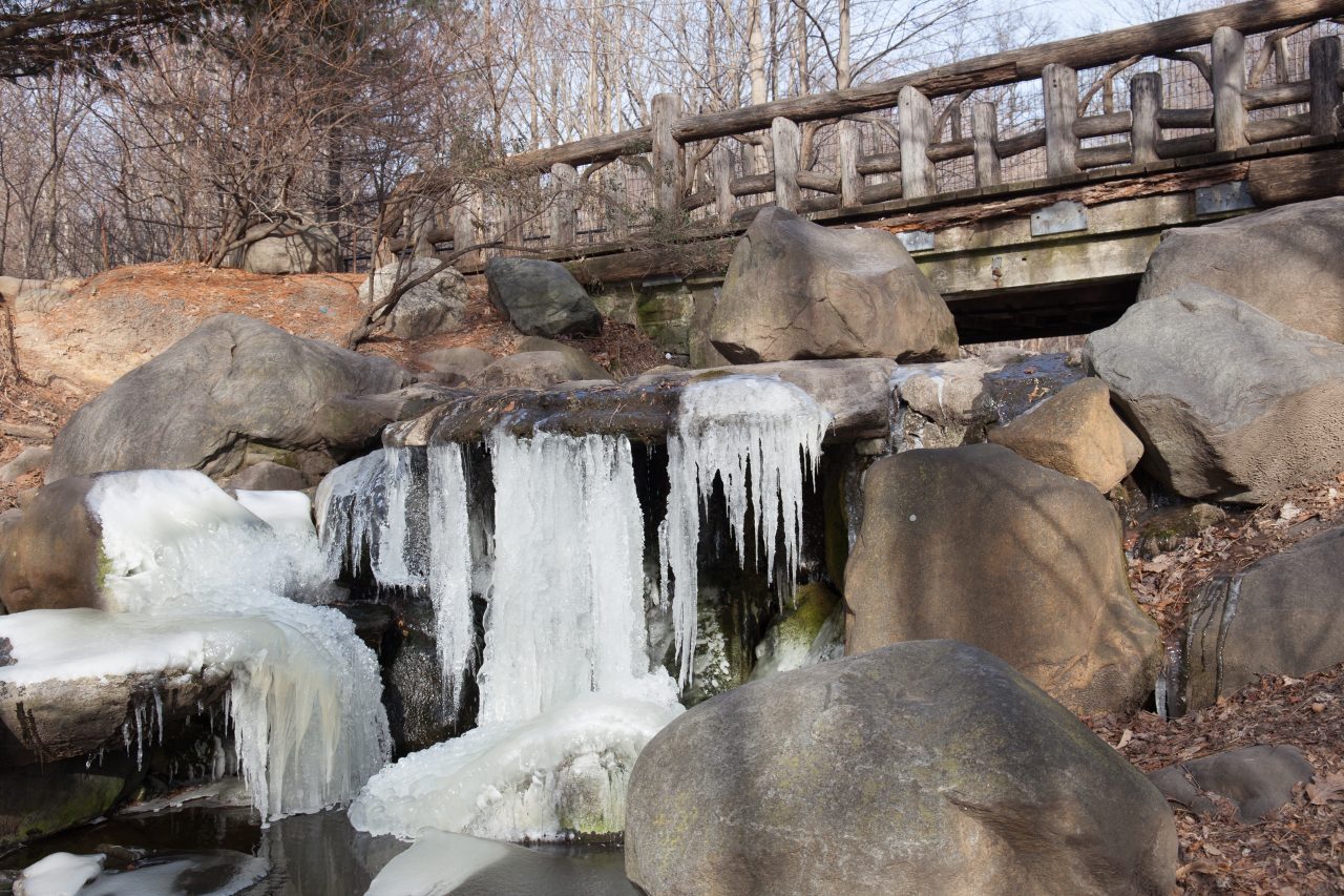 Brooklyn, New York City. Saturday, February 2, 2019 - A waterfall in Prospect Park is frozen. Credit: Photo by LoveIsAmor.com