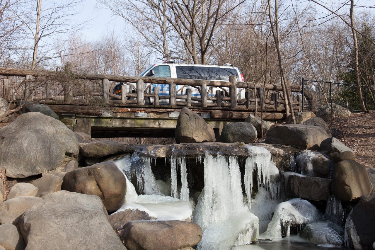 Brooklyn, New York City. Saturday, February 2, 2019 - A waterfall in Prospect Park is frozen. A NYPD van is crossing the bridge. Credit: Photo by LoveIsAmor.com