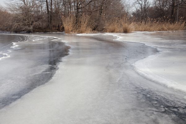 Brooklyn, New York City. Saturday, February 2, 2019 - Most of the lake in Prospect Park is frozen. Credit: Photo by LoveIsAmor.com