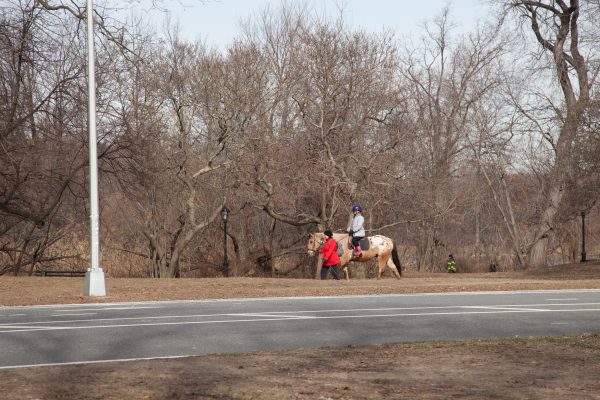 Brooklyn, New York City. Saturday, February 2, 2019 - Woman riding a horse in Prospect Park. Credit: Photo by LoveIsAmor.com