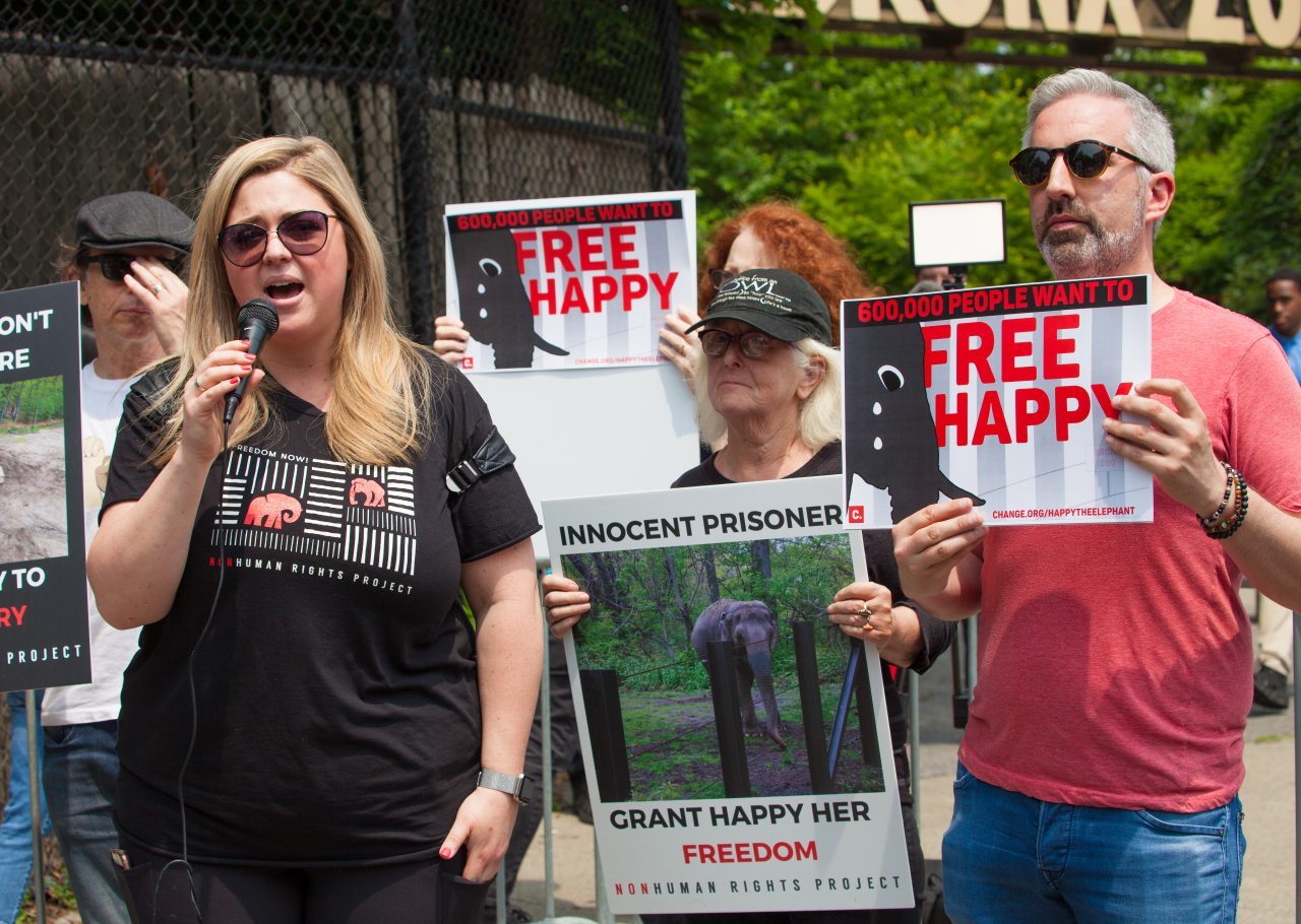 Bronx, New York City. Saturday, June 1, 2019 - Rally in support of Happy's freedom. Happy is a wild-born elephant held alone in captivity at the Bronx Zoo. The rally was organized by the Nonhuman Rights Project and it was joined by Change.org, CompassionWorks International, Voters For Animal Rights, In Defense of Animals, and Animal Cruelty Exposure Fund. Activists called for recognition of Happy's fundamental rights and her transfer to sanctuary. During the rally, NhRP attorney gave updates on their litigation on behalf of Happy and other efforts to obtain rights for autonomous nonhuman animals. Credit: Photo by LoveIsAmor.com