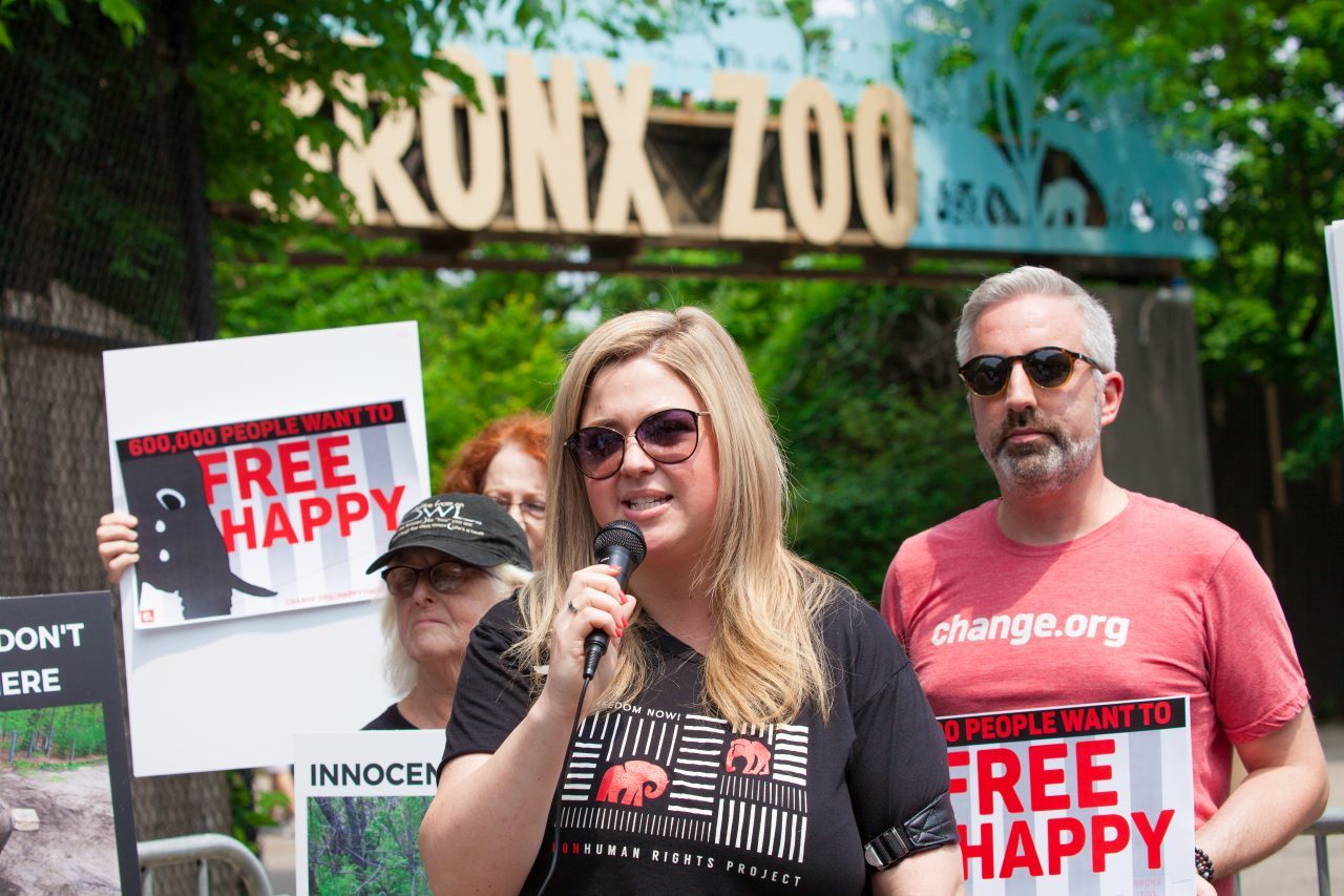 Bronx, New York City. Saturday, June 1, 2019 - Rally in support of Happy's freedom. Happy is a wild-born elephant held alone in captivity at the Bronx Zoo. The rally was organized by the Nonhuman Rights Project and it was joined by Change.org, CompassionWorks International, Voters For Animal Rights, In Defense of Animals, and Animal Cruelty Exposure Fund. Activists called for recognition of Happy's fundamental rights and her transfer to sanctuary. During the rally, NhRP attorney gave updates on their litigation on behalf of Happy and other efforts to obtain rights for autonomous nonhuman animals. Credit: Photo by LoveIsAmor.com