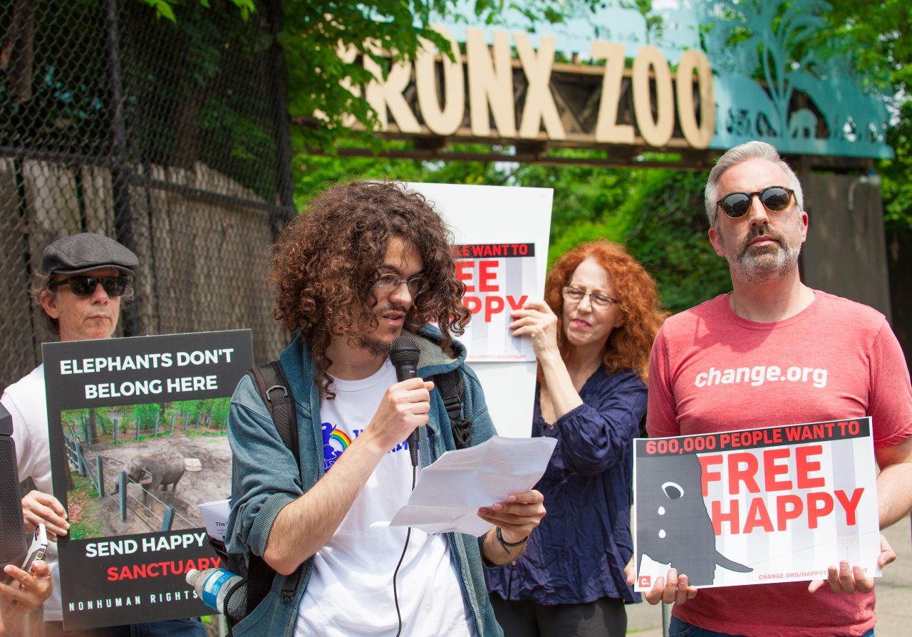 Bronx, New York City. Saturday, June 1, 2019 - Rally in support of Happy's freedom. Happy is a wild-born elephant held alone in captivity at the Bronx Zoo. The rally was organized by the Nonhuman Rights Project and it was joined by Change.org, CompassionWorks International, Voters For Animal Rights, In Defense of Animals, and Animal Cruelty Exposure Fund. Activists called for recognition of Happy's fundamental rights and her transfer to sanctuary. During the rally, NhRP attorney gave updates on their litigation on behalf of Happy and other efforts to obtain rights for autonomous nonhuman animals. Credit: Photo by LoveIsAmor.com