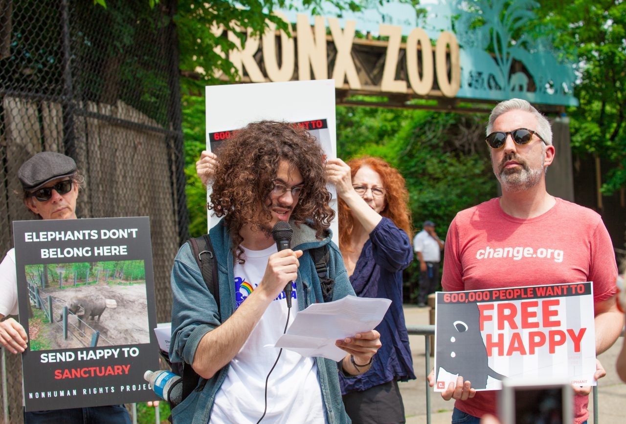 Bronx, New York City. Saturday, June 1, 2019 - Rally in support of Happy's freedom. Happy is a wild-born elephant held alone in captivity at the Bronx Zoo. The rally was organized by the Nonhuman Rights Project and it was joined by Change.org, CompassionWorks International, Voters For Animal Rights, In Defense of Animals, and Animal Cruelty Exposure Fund. Activists called for recognition of Happy's fundamental rights and her transfer to sanctuary. During the rally, NhRP attorney gave updates on their litigation on behalf of Happy and other efforts to obtain rights for autonomous nonhuman animals. Credit: Photo by LoveIsAmor.com