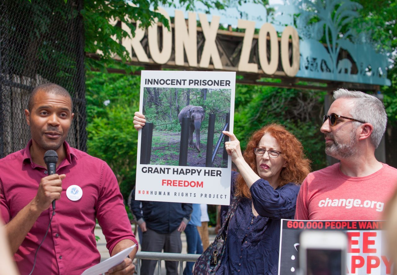 Bronx, New York City. Saturday, June 1, 2019 - Rally in support of Happy's freedom. Happy is a wild-born elephant held alone in captivity at the Bronx Zoo. The rally was organized by the Nonhuman Rights Project and it was joined by Change.org, CompassionWorks International, Voters For Animal Rights, In Defense of Animals, and Animal Cruelty Exposure Fund. Activists called for recognition of Happy's fundamental rights and her transfer to sanctuary. During the rally, NhRP attorney gave updates on their litigation on behalf of Happy and other efforts to obtain rights for autonomous nonhuman animals. Credit: Photo by LoveIsAmor.com