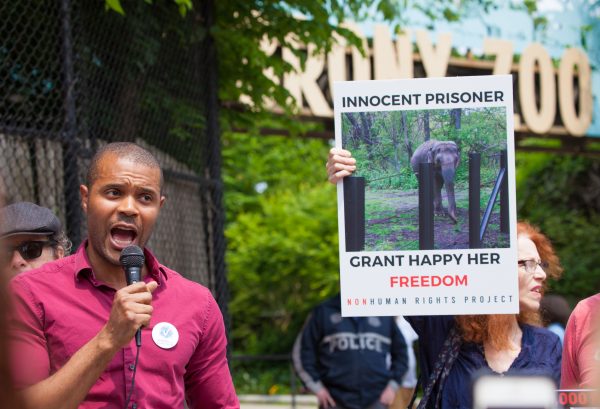 Bronx, New York City. Saturday, June 1, 2019 - Rally in support of Happy's freedom. Happy is a wild-born elephant held alone in captivity at the Bronx Zoo. The rally was organized by the Nonhuman Rights Project and it was joined by Change.org, CompassionWorks International, Voters For Animal Rights, In Defense of Animals, and Animal Cruelty Exposure Fund. Activists called for recognition of Happy's fundamental rights and her transfer to sanctuary. During the rally, NhRP attorney gave updates on their litigation on behalf of Happy and other efforts to obtain rights for autonomous nonhuman animals. Credit: Photo by LoveIsAmor.com