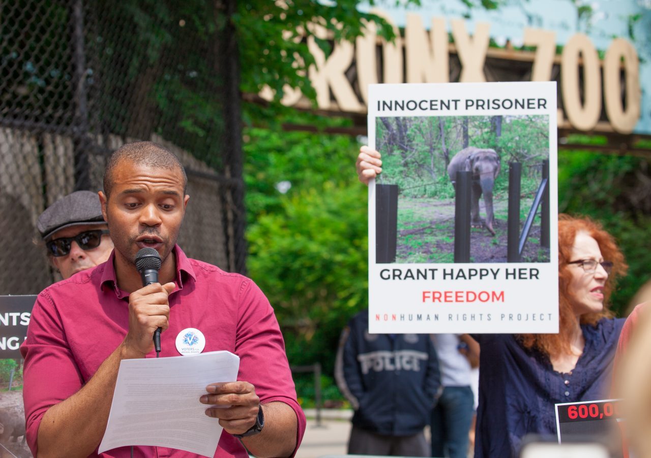 Bronx, New York City. Saturday, June 1, 2019 - Rally in support of Happy's freedom. Happy is a wild-born elephant held alone in captivity at the Bronx Zoo. The rally was organized by the Nonhuman Rights Project and it was joined by Change.org, CompassionWorks International, Voters For Animal Rights, In Defense of Animals, and Animal Cruelty Exposure Fund. Activists called for recognition of Happy's fundamental rights and her transfer to sanctuary. During the rally, NhRP attorney gave updates on their litigation on behalf of Happy and other efforts to obtain rights for autonomous nonhuman animals. Credit: Photo by LoveIsAmor.com