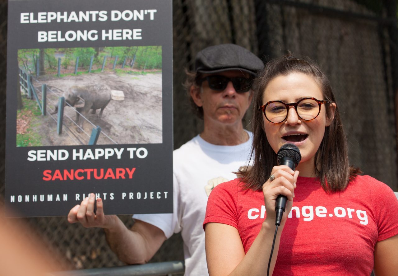 Bronx, New York City. Saturday, June 1, 2019 - Rally in support of Happy's freedom. Happy is a wild-born elephant held alone in captivity at the Bronx Zoo. The rally was organized by the Nonhuman Rights Project and it was joined by Change.org, CompassionWorks International, Voters For Animal Rights, In Defense of Animals, and Animal Cruelty Exposure Fund. Activists called for recognition of Happy's fundamental rights and her transfer to sanctuary. During the rally, NhRP attorney gave updates on their litigation on behalf of Happy and other efforts to obtain rights for autonomous nonhuman animals. Credit: Photo by LoveIsAmor.com