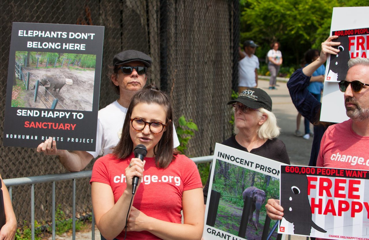 Bronx, New York City. Saturday, June 1, 2019 - Rally in support of Happy's freedom. Happy is a wild-born elephant held alone in captivity at the Bronx Zoo. The rally was organized by the Nonhuman Rights Project and it was joined by Change.org, CompassionWorks International, Voters For Animal Rights, In Defense of Animals, and Animal Cruelty Exposure Fund. Activists called for recognition of Happy's fundamental rights and her transfer to sanctuary. During the rally, NhRP attorney gave updates on their litigation on behalf of Happy and other efforts to obtain rights for autonomous nonhuman animals. Credit: Photo by LoveIsAmor.com