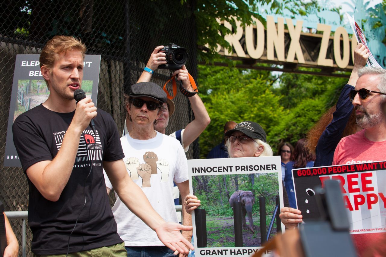 Bronx, New York City. Saturday, June 1, 2019 - Rally in support of Happy's freedom. Happy is a wild-born elephant held alone in captivity at the Bronx Zoo. The rally was organized by the Nonhuman Rights Project and it was joined by Change.org, CompassionWorks International, Voters For Animal Rights, In Defense of Animals, and Animal Cruelty Exposure Fund. Activists called for recognition of Happy's fundamental rights and her transfer to sanctuary. During the rally, NhRP attorney gave updates on their litigation on behalf of Happy and other efforts to obtain rights for autonomous nonhuman animals. Credit: Photo by LoveIsAmor.com