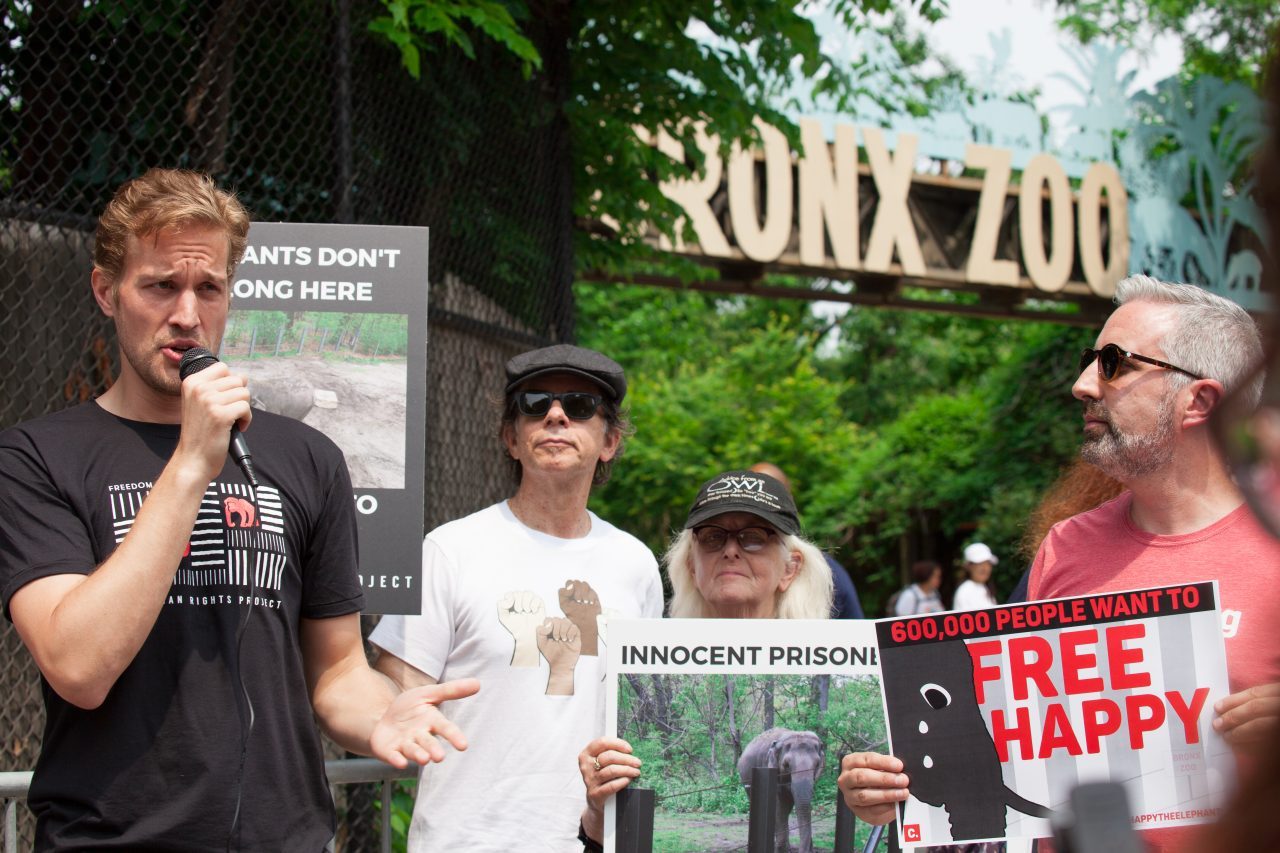 Bronx, New York City. Saturday, June 1, 2019 - Rally in support of Happy's freedom. Happy is a wild-born elephant held alone in captivity at the Bronx Zoo. The rally was organized by the Nonhuman Rights Project and it was joined by Change.org, CompassionWorks International, Voters For Animal Rights, In Defense of Animals, and Animal Cruelty Exposure Fund. Activists called for recognition of Happy's fundamental rights and her transfer to sanctuary. During the rally, NhRP attorney gave updates on their litigation on behalf of Happy and other efforts to obtain rights for autonomous nonhuman animals. Credit: Photo by LoveIsAmor.com