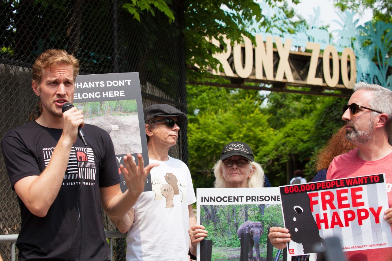Bronx, New York City. Saturday, June 1, 2019 - Rally in support of Happy's freedom. Happy is a wild-born elephant held alone in captivity at the Bronx Zoo. The rally was organized by the Nonhuman Rights Project and it was joined by Change.org, CompassionWorks International, Voters For Animal Rights, In Defense of Animals, and Animal Cruelty Exposure Fund. Activists called for recognition of Happy's fundamental rights and her transfer to sanctuary. During the rally, NhRP attorney gave updates on their litigation on behalf of Happy and other efforts to obtain rights for autonomous nonhuman animals. Credit: Photo by LoveIsAmor.com