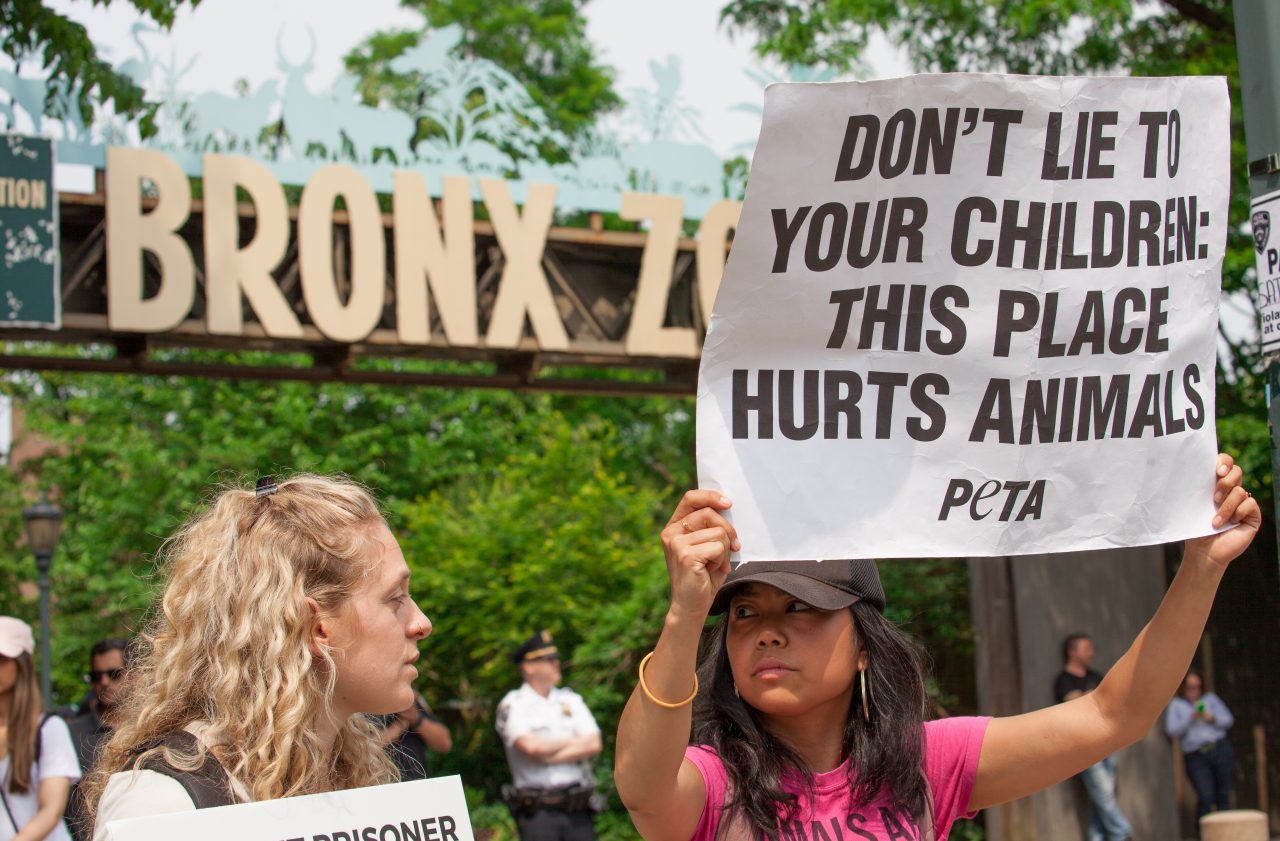 Bronx, New York City. Saturday, June 1, 2019 - Rally in support of Happy's freedom. Happy is a wild-born elephant held alone in captivity at the Bronx Zoo. The rally was organized by the Nonhuman Rights Project and it was joined by Change.org, CompassionWorks International, Voters For Animal Rights, In Defense of Animals, and Animal Cruelty Exposure Fund. Activists called for recognition of Happy's fundamental rights and her transfer to sanctuary. During the rally, NhRP attorney gave updates on their litigation on behalf of Happy and other efforts to obtain rights for autonomous nonhuman animals. Credit: Photo by LoveIsAmor.com