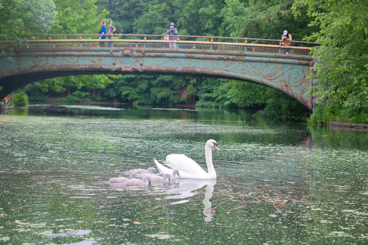 THIS IS A HIGH RESOLUTION IMAGE. It is great for commercial, editorial, personal use, newspaper, TV, websites, blogs, social media like Facebook, Twitter, Instagram, etc.